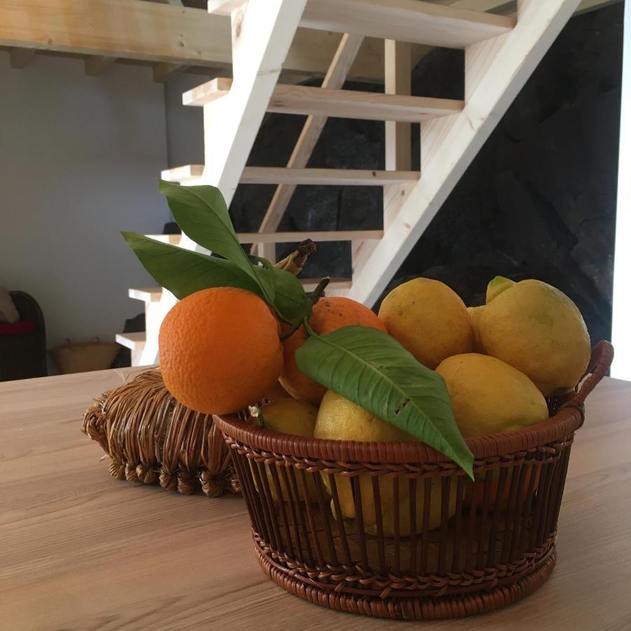 Beija Rio Charming House Villa Ferreira do Zezere Ngoại thất bức ảnh